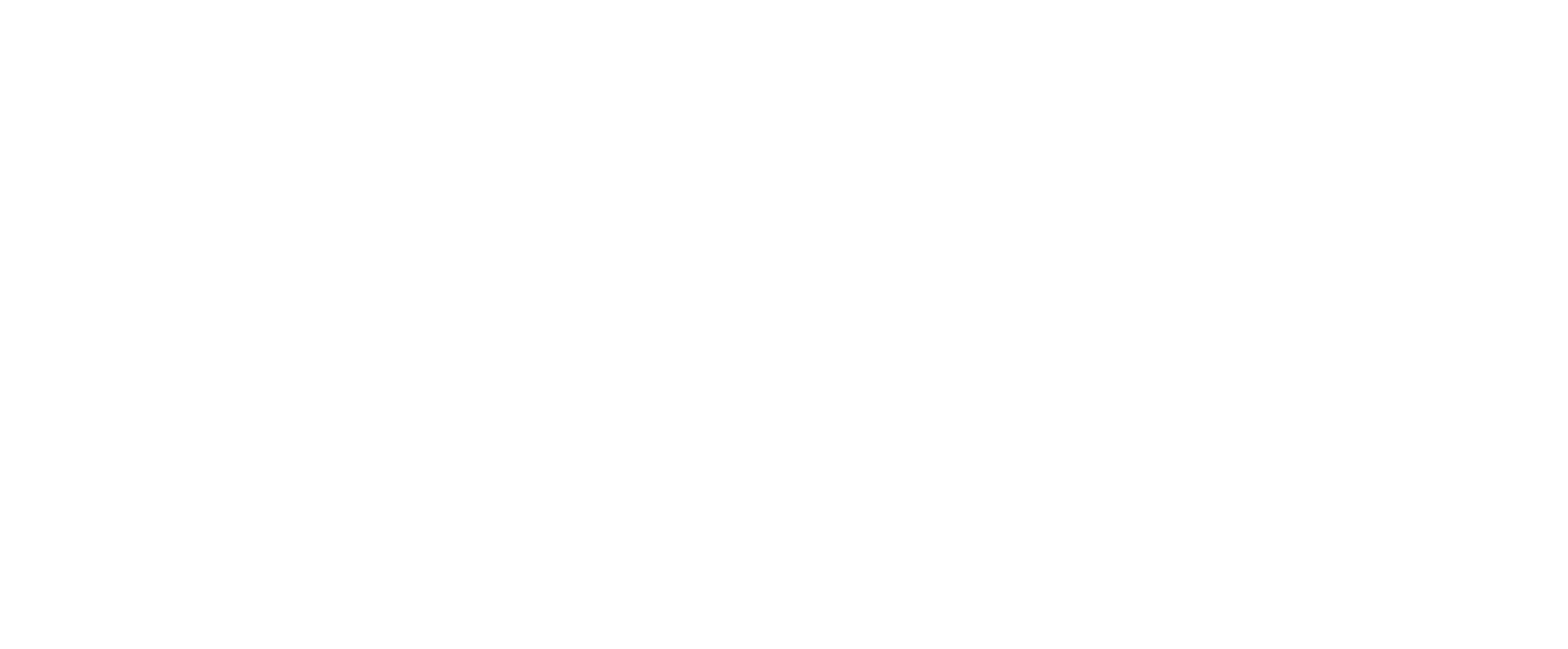 Logo_Voices of Migration WHITE